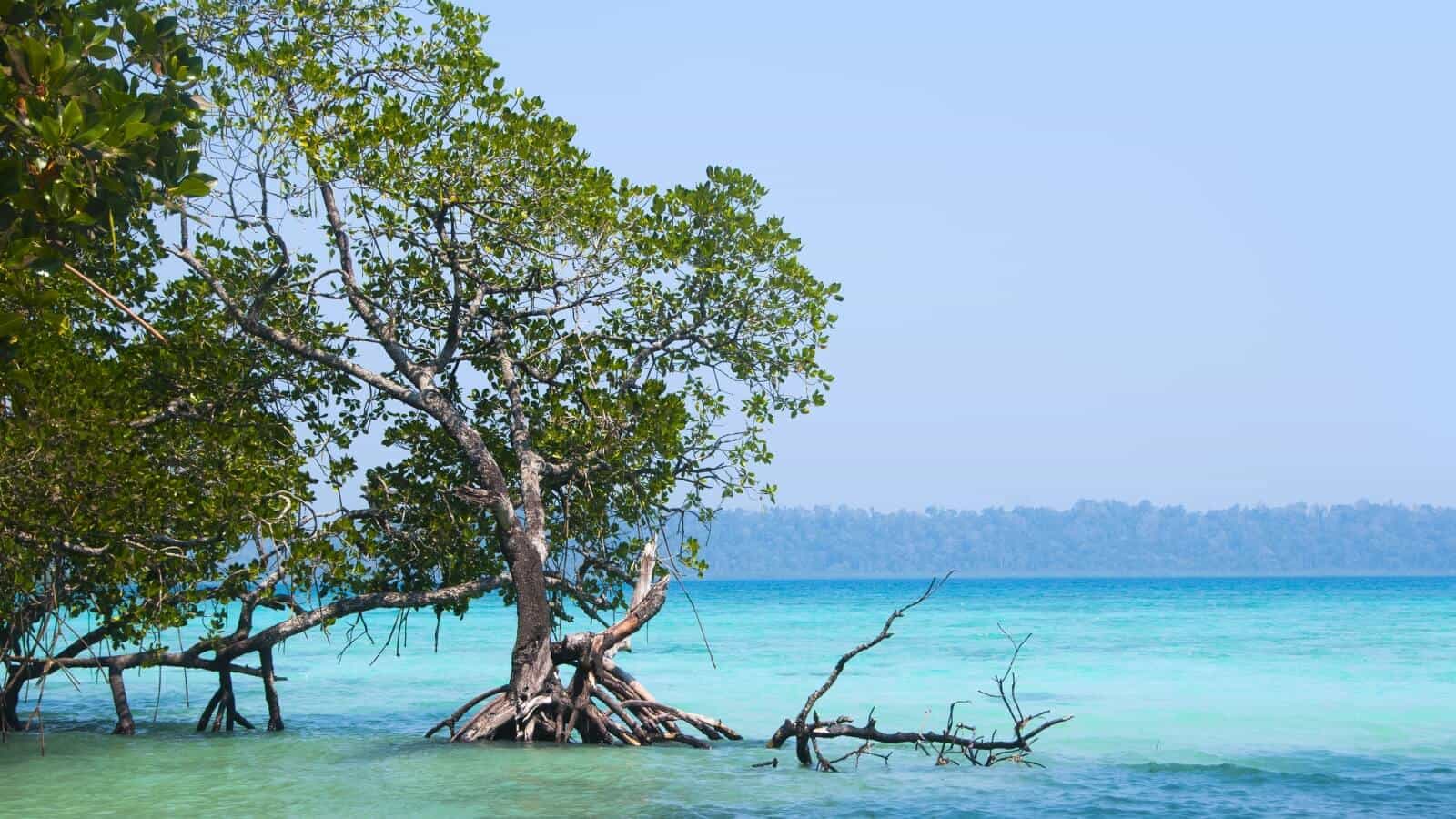 Andamans – 5 Nights 6 Days