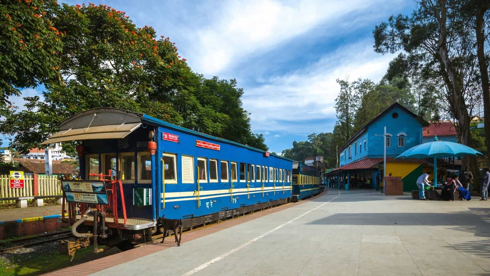 Ooty Kodai